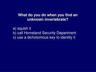 What do you do when you find an unknown invertebrate? a) squish it