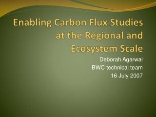 Enabling Carbon Flux Studies at the Regional and Ecosystem Scale