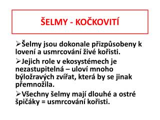 ŠELMY - KOČKOVITÍ