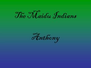 The Maidu Indians Anthony