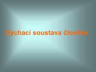 Dýchací soustava člověka