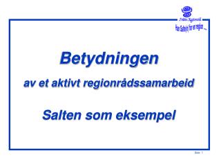 Betydningen av et aktivt regionrådssamarbeid Salten som eksempel