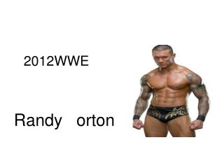 2012WWE