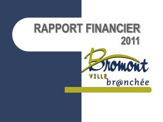 RAPPORT FINANCIER 2011