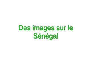 Des images sur le Sénégal