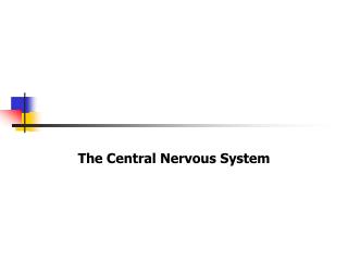 The Central Nervous System