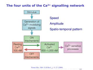 The four units of the Ca 2+ signalling network