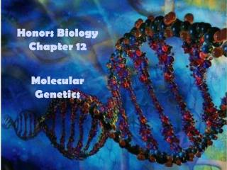 Honors Biology Chapter 12 Molecular Genetics