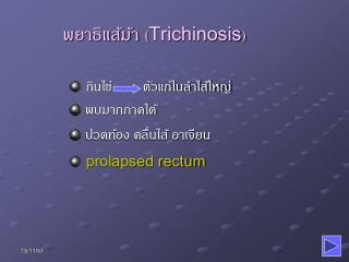 พยาธิแส้ม้า ( Trichinosis )