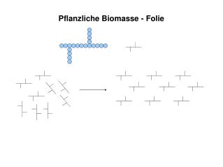 Pflanzliche Biomasse - Folie