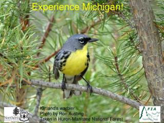 Experience Michigan!