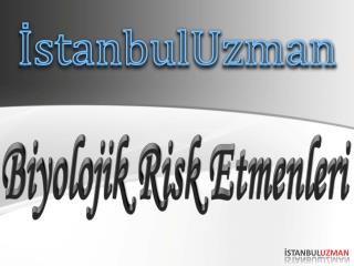 İstanbulUzman