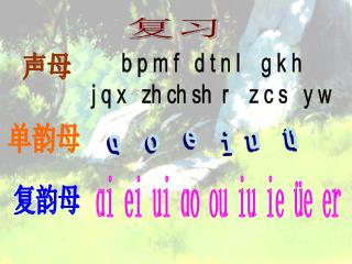 b p m f d t n l ɡ k h j q x zh ch sh r z c s y w