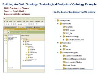 Building An OWL Ontology : Toxicological Endpoints’ Ontology Example