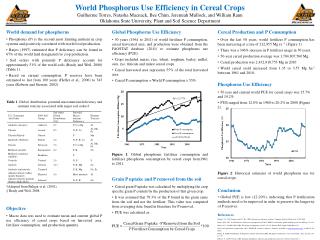 World Phosphorus Use Efficiency in Cereal Crops