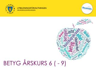 BETYG ÅRSKURS 6 ( - 9)