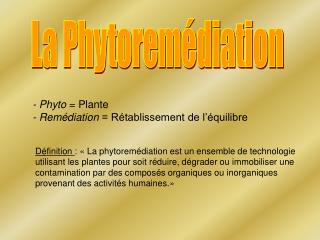 La Phytoremédiation