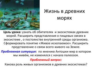 Жизнь в древних морях