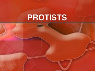 PROTISTS