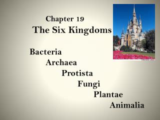 Chapter 19 	 The Six Kingdoms 	Bacteria Archaea Protista Fungi Plantae Animalia