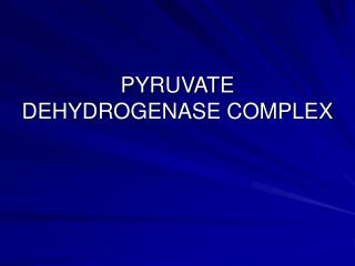 PYRUVATE DEHYDROGENASE COMPLEX