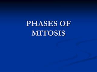 PHASES OF MITOSIS