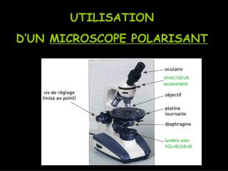 UTILISATION D’UN MICROSCOPE POLARISANT