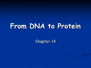 From DNA to Protein