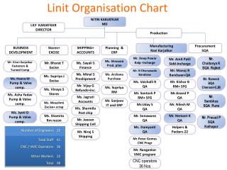 Linit Organisation Chart