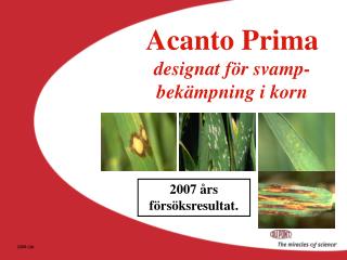 Acanto Prima designat för svamp- bekämpning i korn