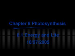 Chapter 8 Photosynthesis