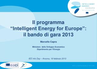 Il programma “Intelligent Energy for Europe”: il bando di gara 2013