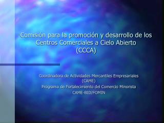 Comisión para la promoción y desarrollo de los Centros Comerciales a Cielo Abierto (CCCA)