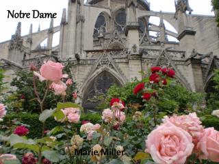 Notre Dame