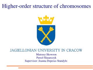 Higher-order structure of chromosomes