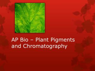 AP Bio – Plant Pigments and Chromatography