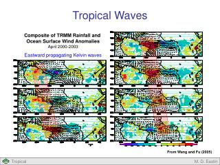 Tropical Waves