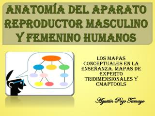 ANATOMÍA DEL APARATO REPRODUCTOR MASCULINO Y FEMENINO HUMANOS