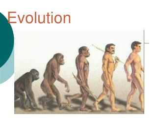 Evolution