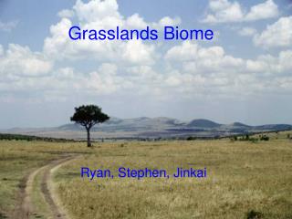 Grasslands Biome