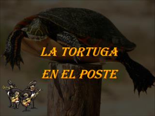 LA TORTUGA EN EL POSTE