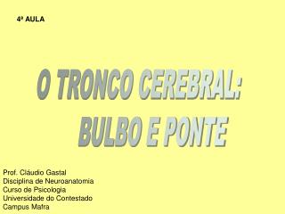 O TRONCO CEREBRAL: BULBO E PONTE