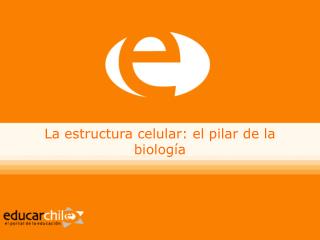 La estructura celular: el pilar de la biología
