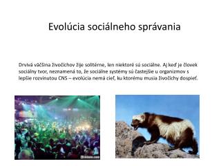 Evolúcia sociálneho správania