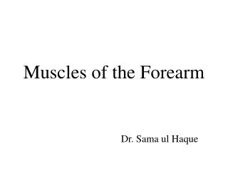 Muscles of the Forearm