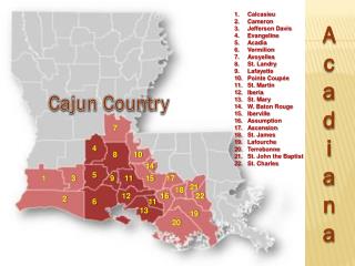 Calcasieu Cameron Jefferson Davis Evangeline Acadia Vermilion Avoyelles St. Landry Lafayette