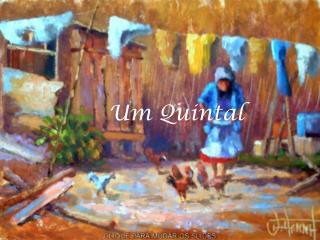Um Quintal