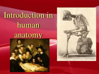 Introduction in human anatomy