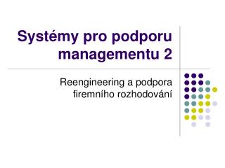Systémy pro podporu managementu 2