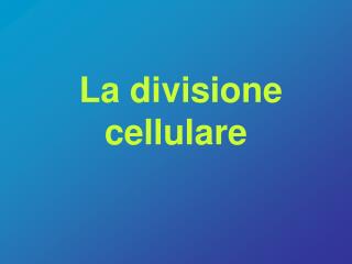 La divisione cellulare